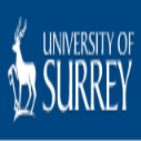 Surrey EU undergraduate financial aid in UK